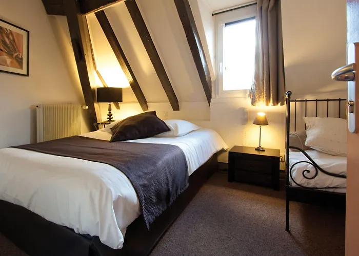 Le Kleber 3* Straatsburg